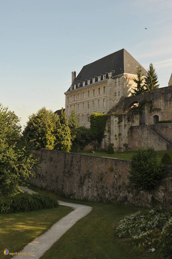 Nom de l'image : D30059195_1_(c)Norbert-JUNG — Description :